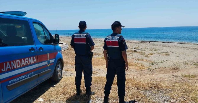 Alanya’da yeşil deniz kaplumbağası ve caretta carettaların yuvalanma bölgeleri kontrol edildi