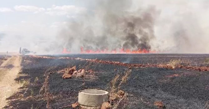 Kahramanmaraş’ta buğday tarlasında yangın