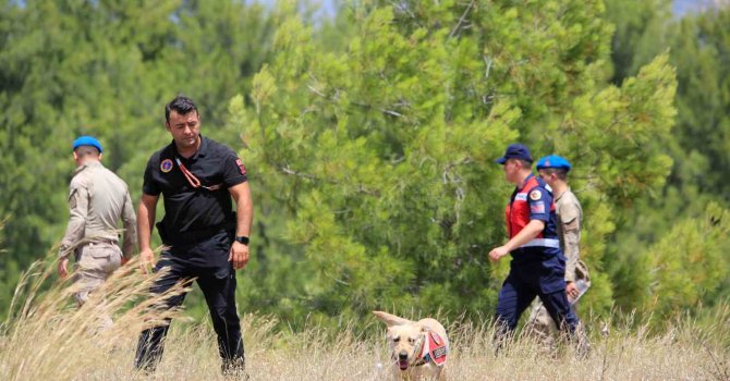 Kayıp doktor için Jandarma ve AFAD alarma geçti