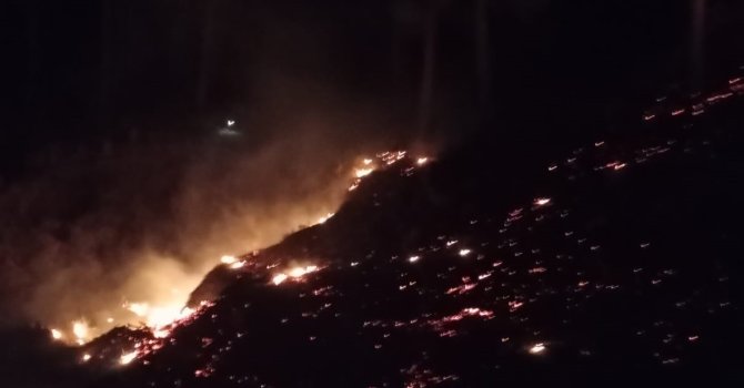 Mersin’de orman yangını: 10 dönüm alan zarar gördü