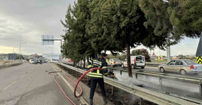 Mersin’de refüjdeki ağaçlar yandı