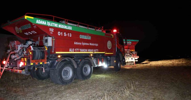 Adana’da anız yangını ormana sıçradı, yangın kontrol altına alındı