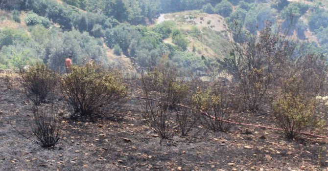 Alanya’da otluk olan yangını itfaiye ekiplerince söndürüldü