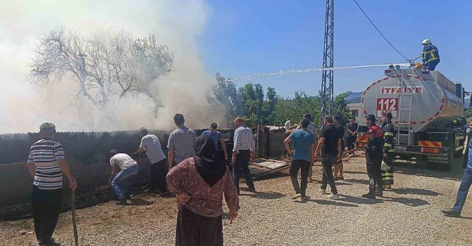 Kozan’da çıkan yangında 1 kişi hastaneye kaldırıldı, 20 küçükbaş hayvan son anda kurtuldu