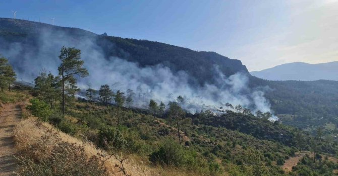 Mut’ta ormanlık alanda çıkan yangın kontrol altına alındı