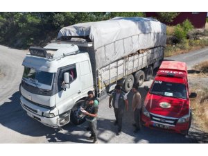 Mersin’de orman kaçakçılığına yönelik denetim yapıldı