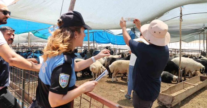 Mersin polisi kurbanlık satış alanlarında vatandaşları uyardı