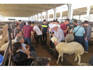 Arefe günü kurban pazarlarında hareketlilik