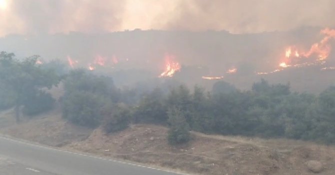 Kahramanmaraş’ta iki ayrı alanda örtü yangını