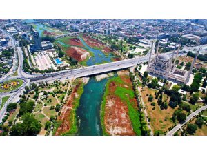 Seyhan Nehri’ni kaplayan yosunlar insan boyunu geçti, kötü koku kenti kapladı