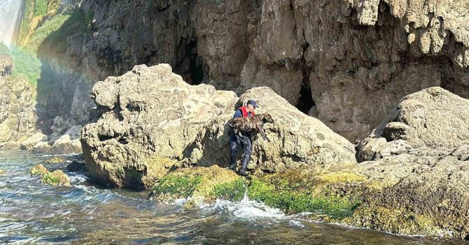 Antalya’da denize düşen köpeği Sahil Güvenlik ekipleri kurtardı