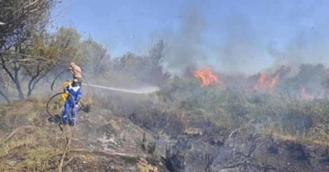 Osmaniye’de Kastabala Kuş Cenneti’nde çıkan yangın söndürüldü