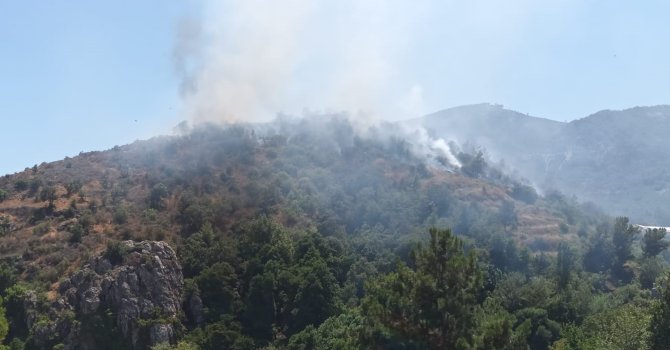 Mersin’de orman yangınına, havadan ve karadan müdahale ediliyor