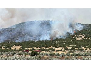 Kahramanmaraş’ta makilik alanda yangın