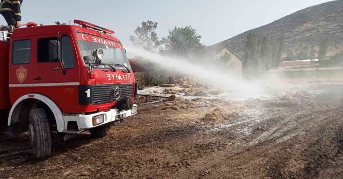 Isparta’da çıkan yangında 80 dönüm tarım arazisi küle döndü