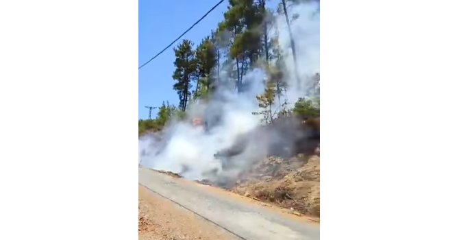 Gazipaşa’da ormanlık alanda çıkan yangın büyümeden söndürüldü