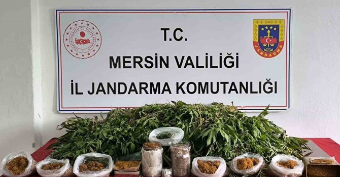 Mersin’de uyuşturucu operasyonu: 1 gözaltı