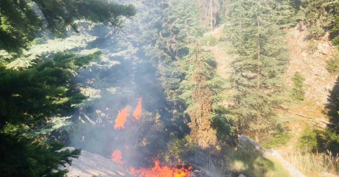 Adana’da ormanlık alanda çıkan yangın kontrol altına alındı