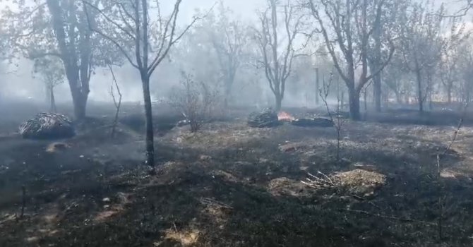 Isparta’da meyve bahçesinde çıkan yangında ağaçlar ve samanlar kül oldu