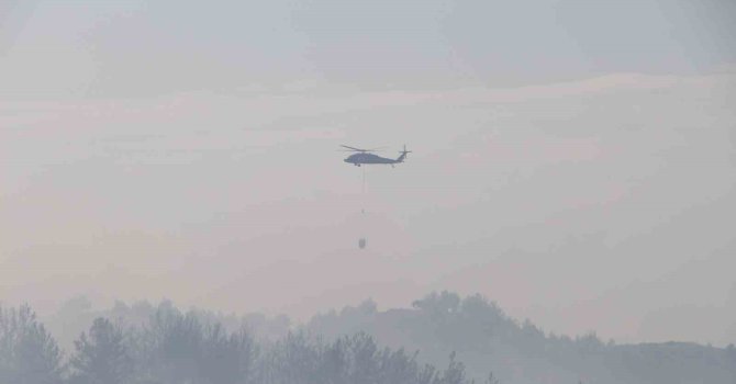 Hatay’daki orman yangını 4 saatlik müdahaleyle kontrol altına alındı