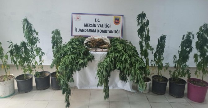 Mersin’de uyuşturucu operasyonu: 6 gözaltı