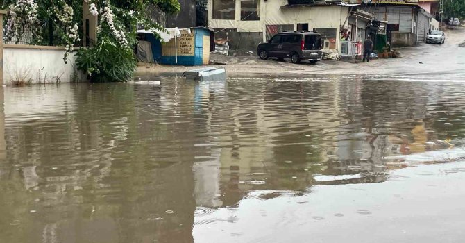 Şiddetli yağmur ve rüzgar ağaçları kökünden söktü, vinci devirdi