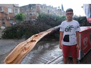 Küçük çocuk fırtınada devrilen ağacın altında kalmaktan son anda kurtuldu