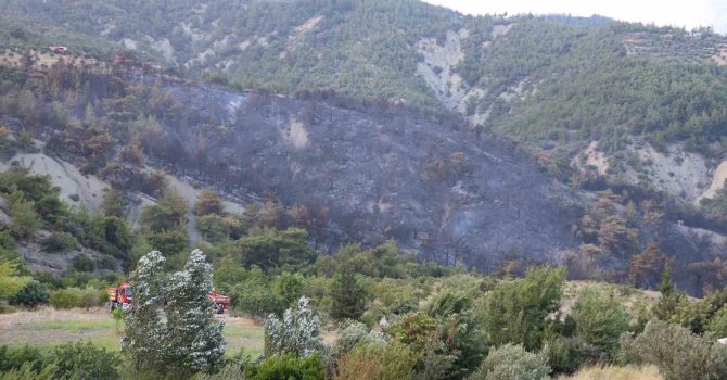 Havadan ve karadan müdahaleyle kontrol altına alınan yangında yaşananları muhtar anlattı