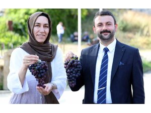 Akdeniz Belediyesi’nden Esenli Üzüm Şenliği’ne davet