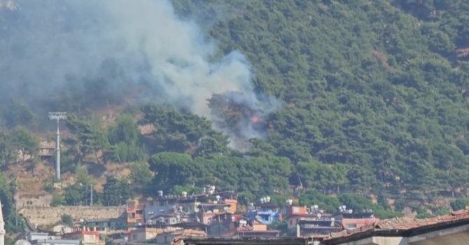 Habibi Neccar Dağı’nda çıkan orman yangını söndürüldü