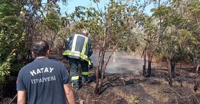 Defne’de bahçe yangını eve sıçramadan söndürüldü