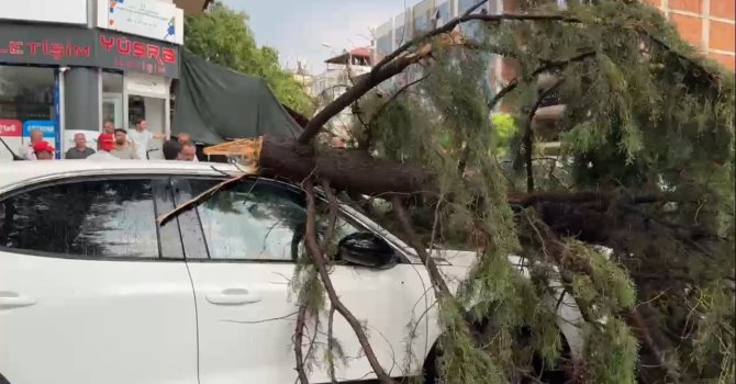 Burdur’da fırtınada kırılan ağaç aracın üzerine devrildi