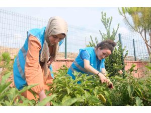 Adana Gençlik Merkezi üretiyor, çocuklar afiyetle yiyor