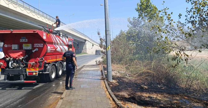 Yol kenarına atılan sigara izmariti yangın çıkardı