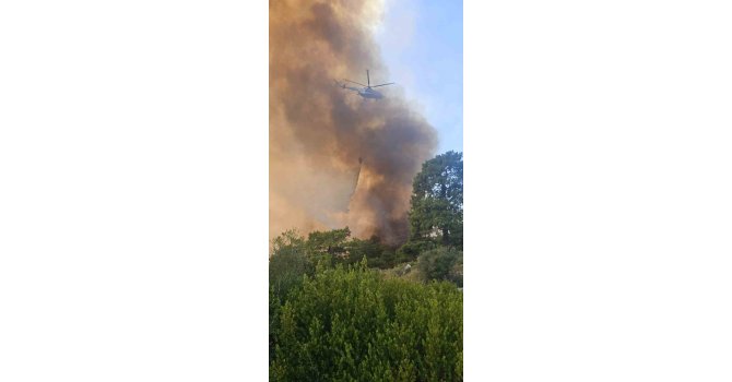 Antalya’da orman yangınına havadan ve karadan müdahale