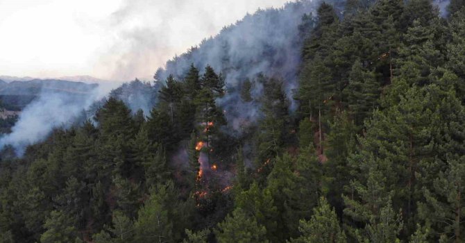 Kahramanmaraş’taki orman yangını piknikçi ateşinden çıkmış