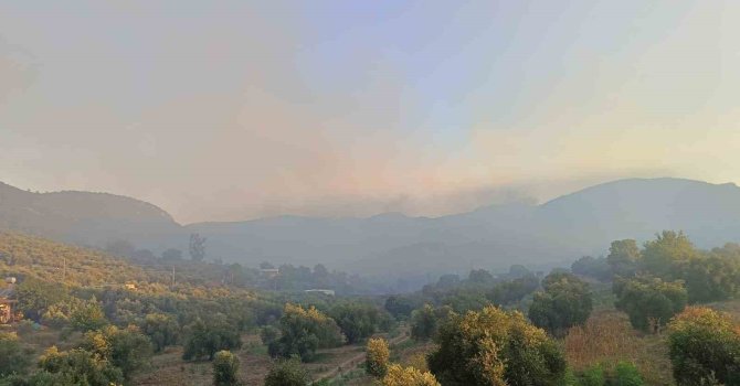 Adana Kozan’da orman yangını