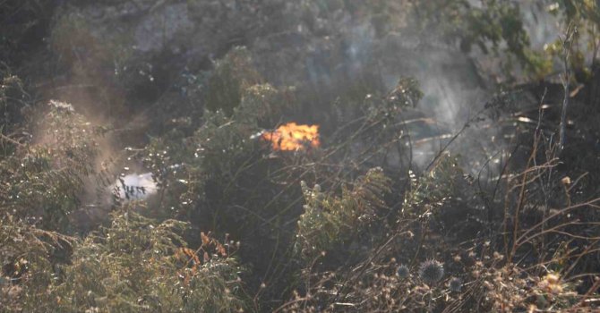 Antakya’da otluk alanda çıkan yangın büyümeden söndürüldü