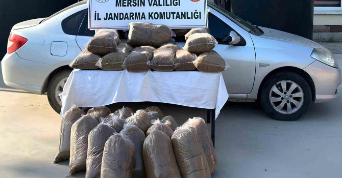 Mersin’de 310 kilo kaçak tütün ele geçirildi