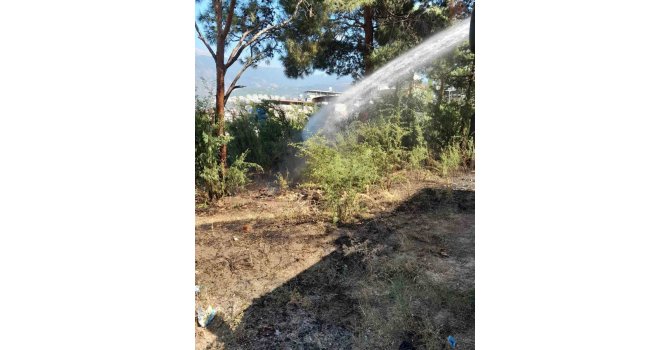 İskenderun’da bahçede çıkan yangın söndürüldü