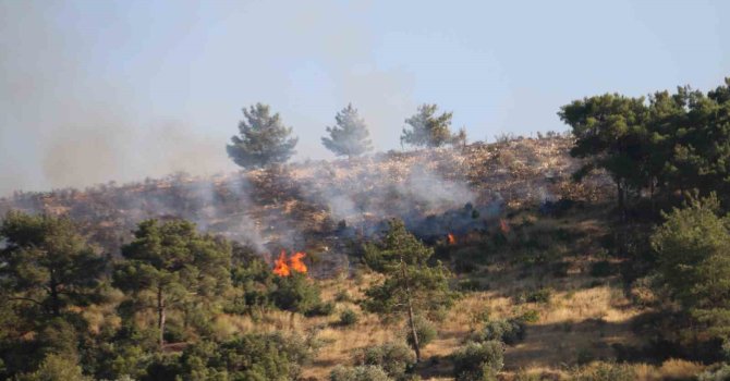 Hatay’daki orman yangınına havadan helikopterler ve uçakla müdahale ediliyor