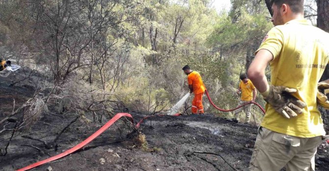 Antalya Kemer’de çıkan orman yangını kontrol altına alındı