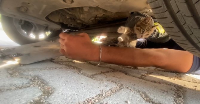 Otomobilin motoruna giren yavru kedi kurtarıldı