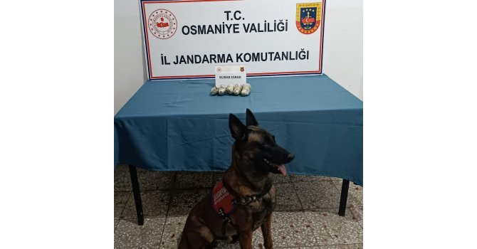 Osmaniye’de jandarmadan tarihi eser ve uyuşturucu operasyonu