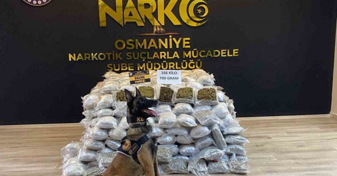 Osmaniye’de durdurulan tırda 166 kilo 700 gram skunk ele geçirildi