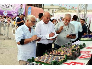 Mersin’de ’Bağlarbaşı İncir Festivali’ düzenlendi