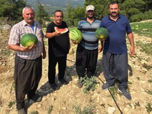 Tarsus’ta yerli tohuma ve üretime dönüş için çağrı