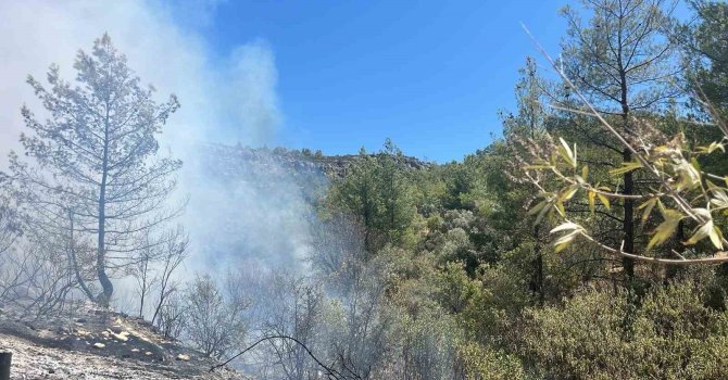 Mersin Silifke’de orman yangını