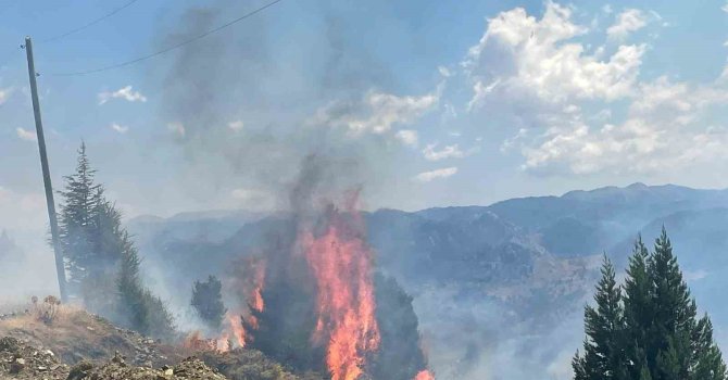 Alanya’da makilik alanda çıkan yangın ormana sıçramadan söndürüldü