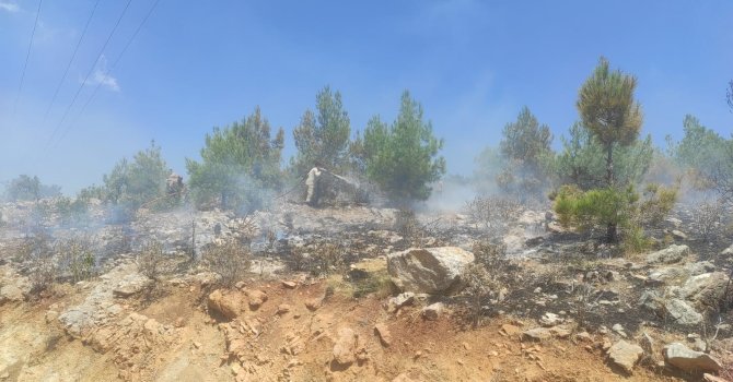 Mersin’de 4 ayrı noktada çıkan orman yangınları söndürüldü